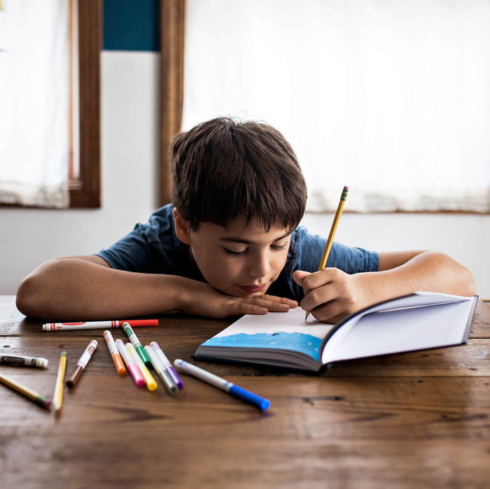 Big Life Journal + Growth Mindset Kit For Tweens/Teens PDF (ages 11+) Bundle