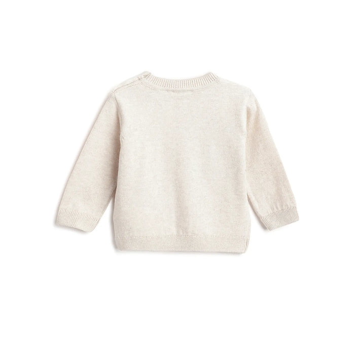 Boys Beige Animal Printed Pullover