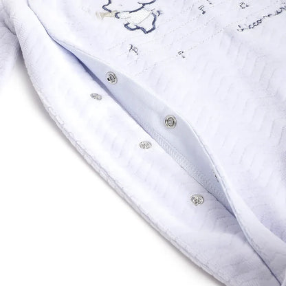 Boys Blue Embroidered Front Opening Babysuit