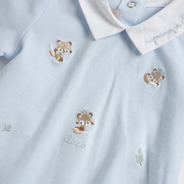 Boys Light Blue Embroidered Back Opening Babysuit