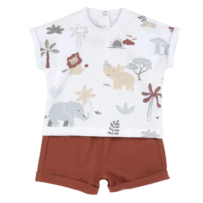Boys Light Red Printed T-Shirt with Shorts