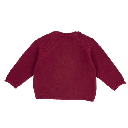 Boys Maroon Embellished Pullover