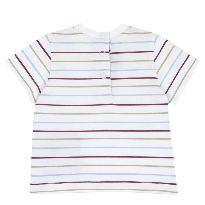 Boys Printed Cotton T-shirt