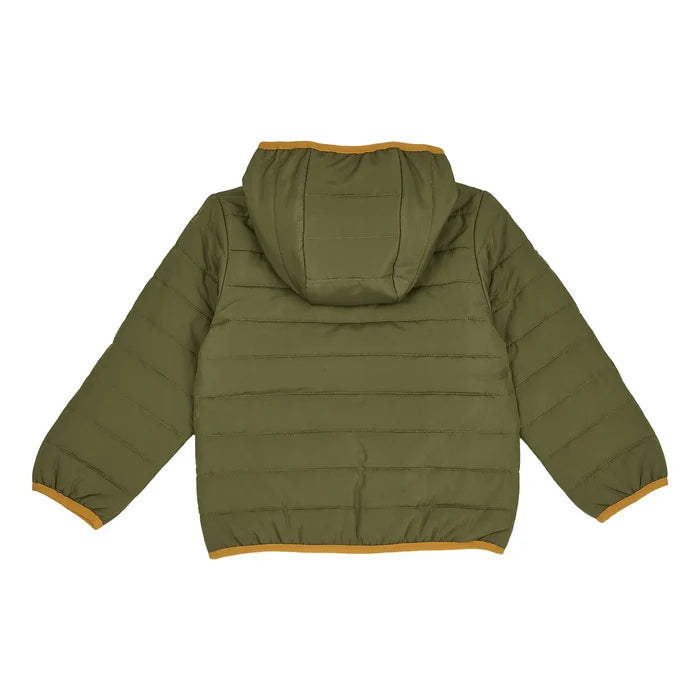 Boys Solid Polyester Padded Jacket