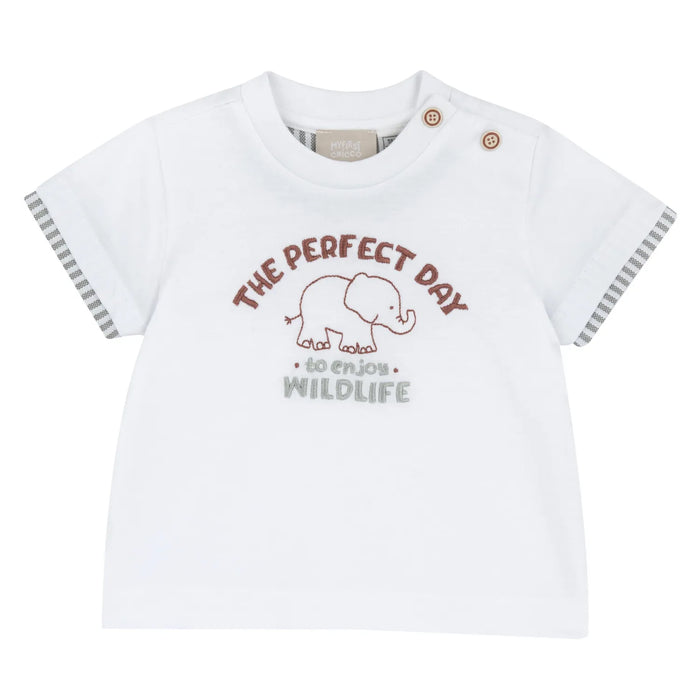 Boys White Animal Embroidered T-shirt