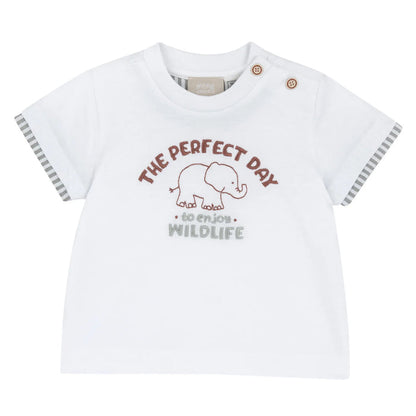 Boys White Animal Embroidered T-shirt