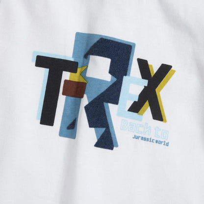 Boys White Typography Printed Long Sleeve T-shirt