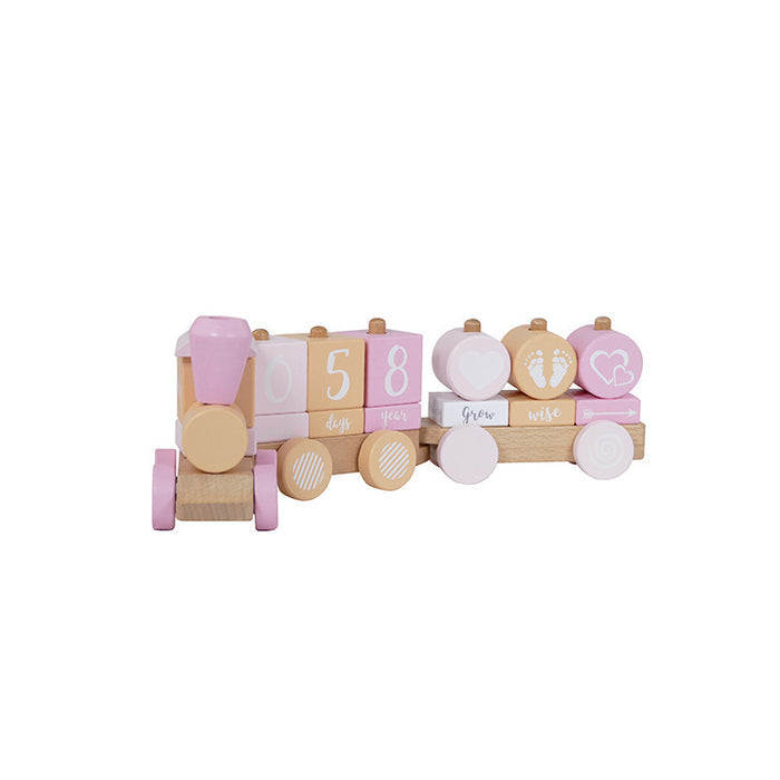 Fashion Small Train Early Education Wooden Toys 🇨🇳