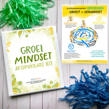 Groei Mentaliteit Printen Kit PDF (leeftijd 5-11)