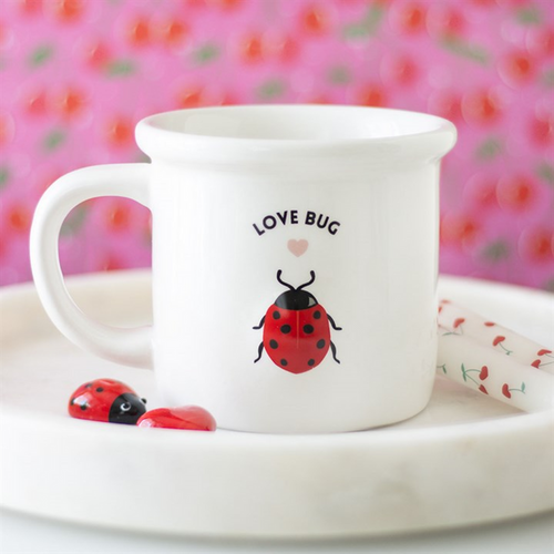 Love Bug Mug with 3D Ladybird 🇬🇧