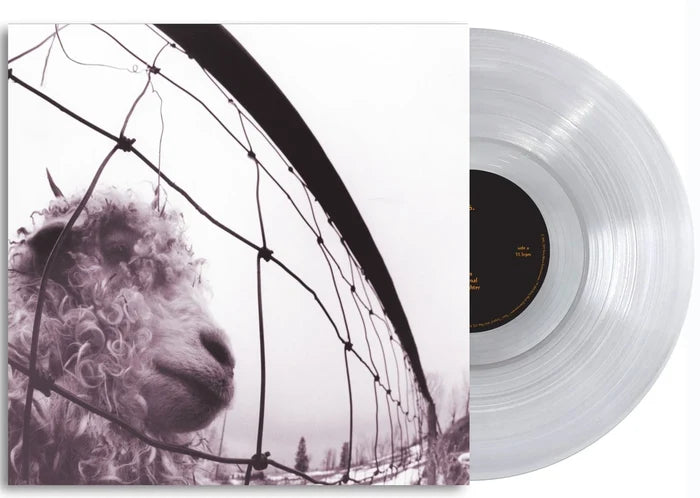 Pearl Jam VS Clear Vinyl