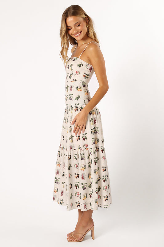 Elegant Dress