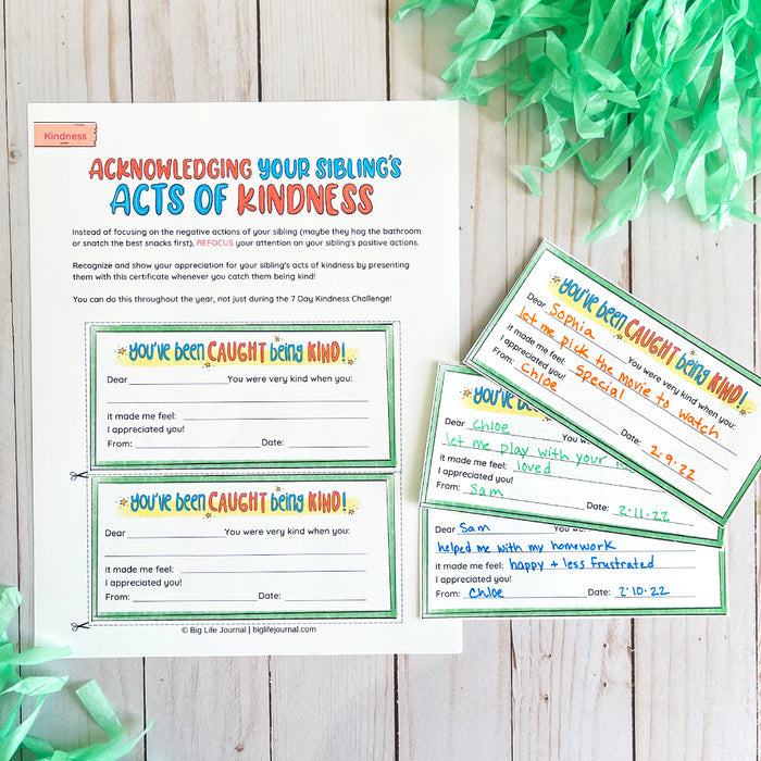 Sibling Kit PDF (ages 5-12)