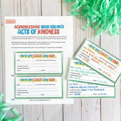 Sibling Kit PDF (ages 5-12)