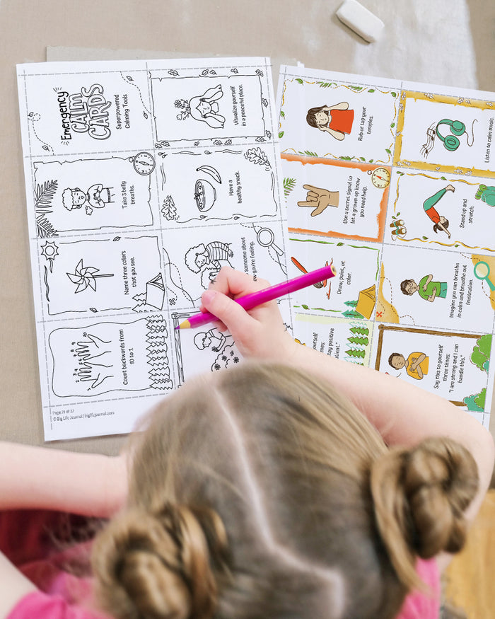 Worry Toolbox Kit PDF (ages 5-12)