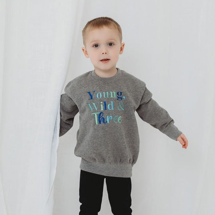 Gray kids sweatshirt with 'Young Wild & Three' multicolor graphic, crewneck