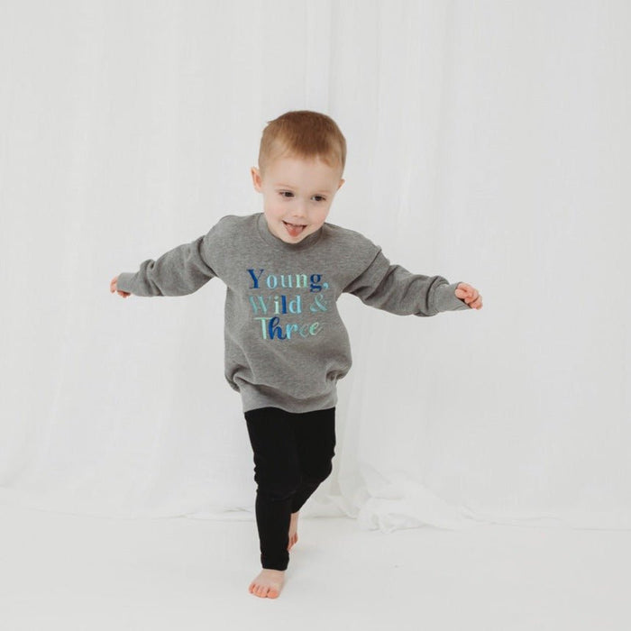 Gray kids sweatshirt with 'Young Wild & Three' text; long sleeves