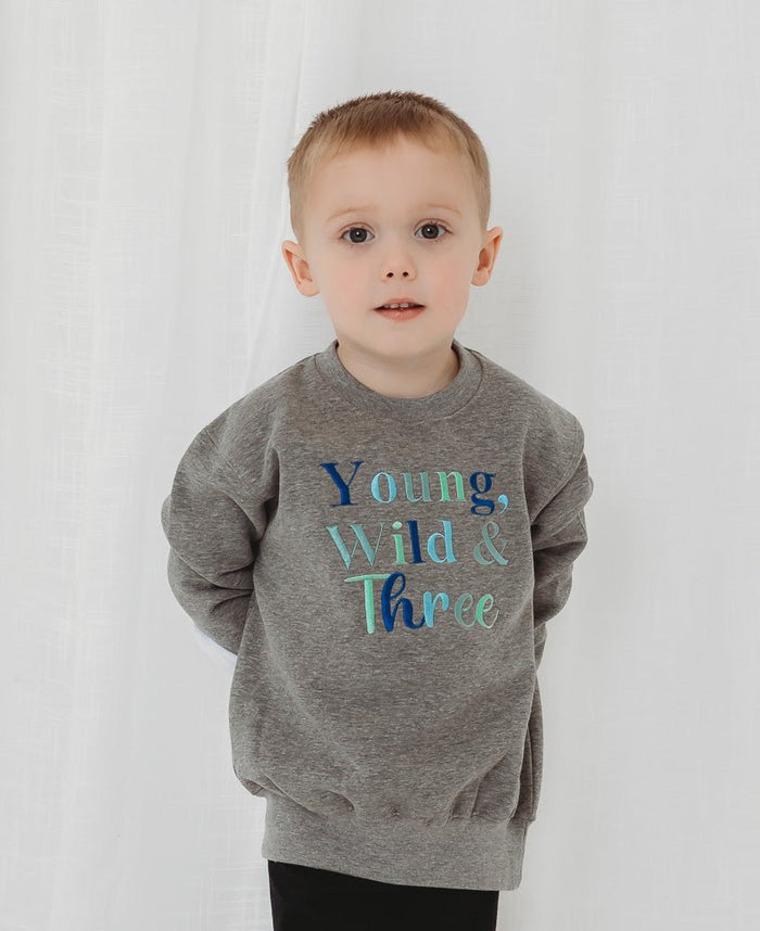 Gray crewneck sweatshirt with 'Young Wild & Three' multicolor lettering
