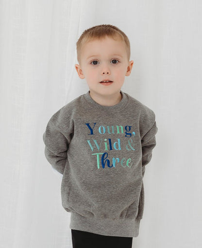 Gray crewneck sweatshirt with 'Young Wild & Three' multicolor lettering