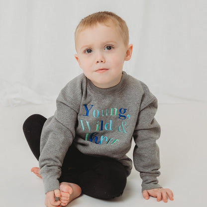 Gray toddler sweatshirt with 'Young Wild & Three' graphic on chest